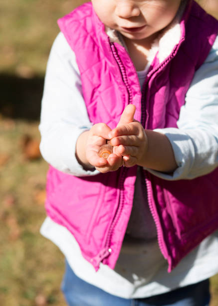 istock Little Girl Gathering Acorns 932037672