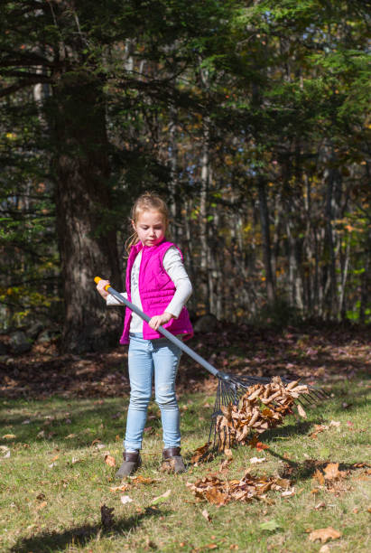 istock Young Girl Raking Leaves 932037716