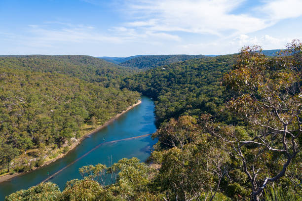 istock Eucalyptus forest of Royal National Park with Hacking river 932046330