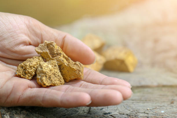 istock Pure gold ore found in the mine on hand. 932050504