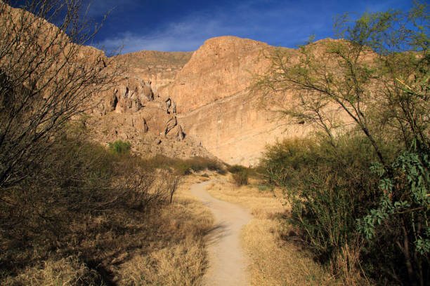 Boquillas Canyon Trail