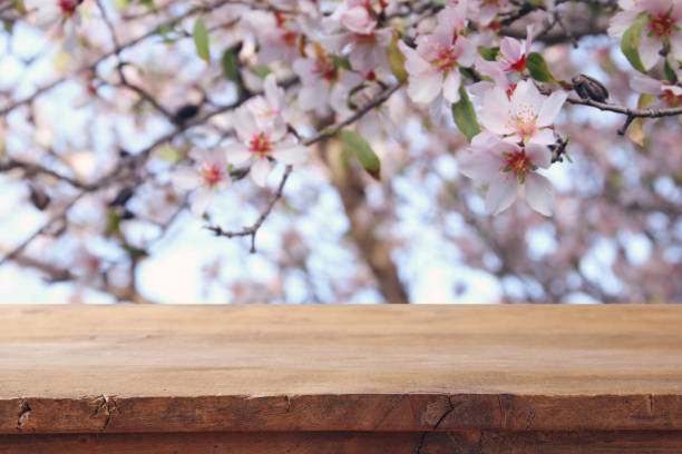 istock wooden rustic table in front of spring cherry blossoms tree. product display and picnic concept. 932055182