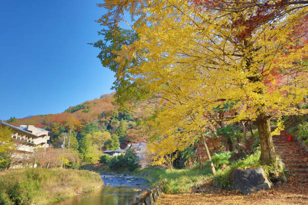 istock the nature view of Kamitakano Higashiyama at fall 932071138