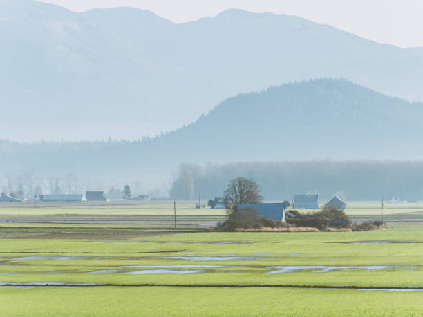 istock rural landscape at Mount Baker,Bellevue,Washington 932075186