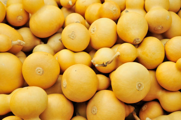 istock Many of the gourd 932078958