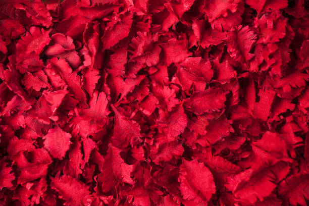 istock red dried flowers aromatherapy potpourri background 932079052