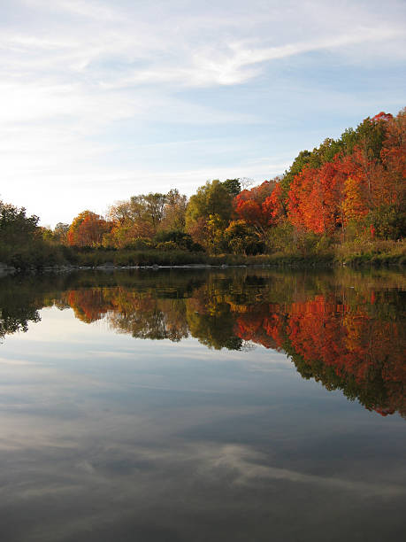 istock Beautiful reflection on water in fall/autumn scene 93208198