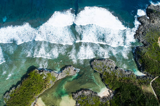 Spectacular views from the observation decks of the Ogasawara Islands