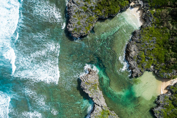 istock Clear sea and trees and rocks. 932082334