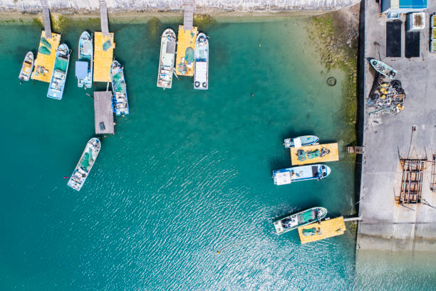 muitos barcos diferentes estão alinhados no quebra-mar. - sailboat pier bridge storm - fotografias e filmes do acervo