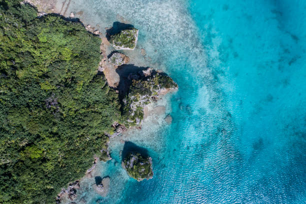 istock Clear sea and trees and rocks. 932085334