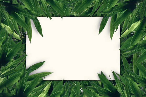 istock Creative layout on green leaves bamboo with paper card note. Flat lay. Nature concept 932085680