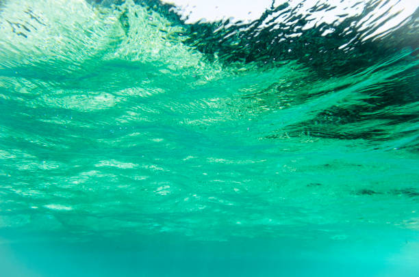 istock The surface of the sea from under the water 932093738