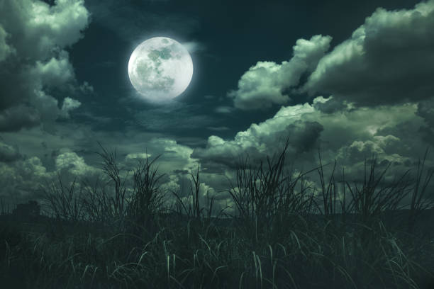 istock Bright full moon above wilderness area, serenity nature background. 932097224