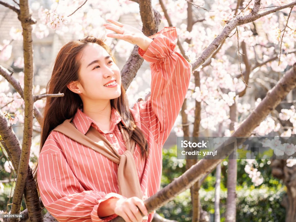 Outdoor portrait of beautiful young Chinese girl in red shirt smiling among blossom cherry tree brunch in spring garden, beauty, summer, emotion, expression and people concept. Adult Stock Photo