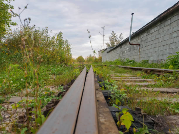 istock Old grass-covered and bushes railway tracks in the summer. 932104064