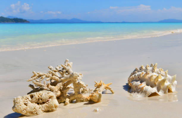 istock Nyaung Oo Phee island on sunny day in Myanmar 932107466