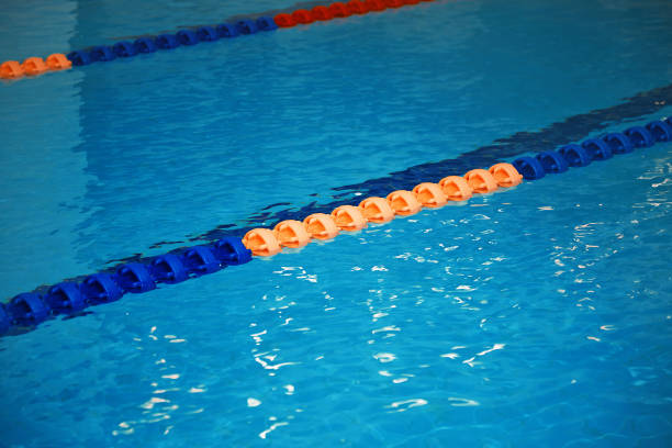 istock Swimming pool with lane markers 932108610