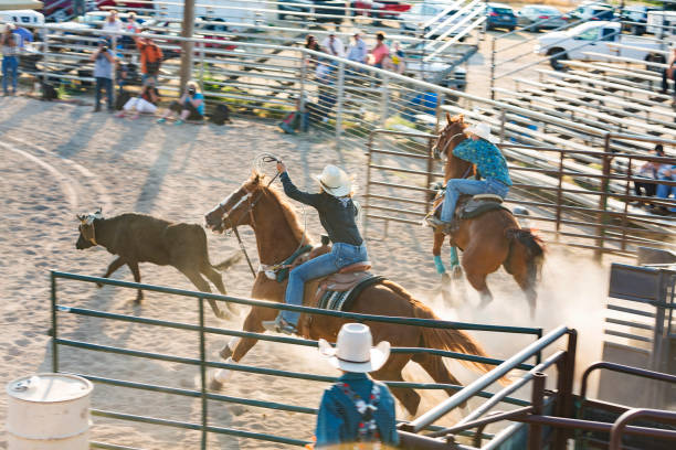 Spectators In Rodeo Ring 440+ Rodeo Spectators Stock Photos, Pictures & Royalty-Free Images - iStock