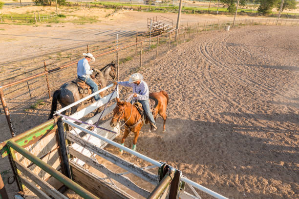 istock Rancher Closing a Gate in a Stockyard Corral 932117608