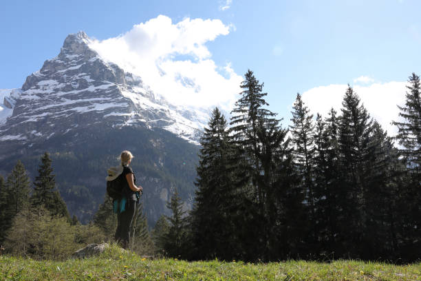 feminino caminhante percorre prados de montanha - 13601 - fotografias e filmes do acervo