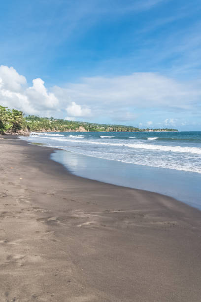 istock Guadeloupe, black sand beach 932128766