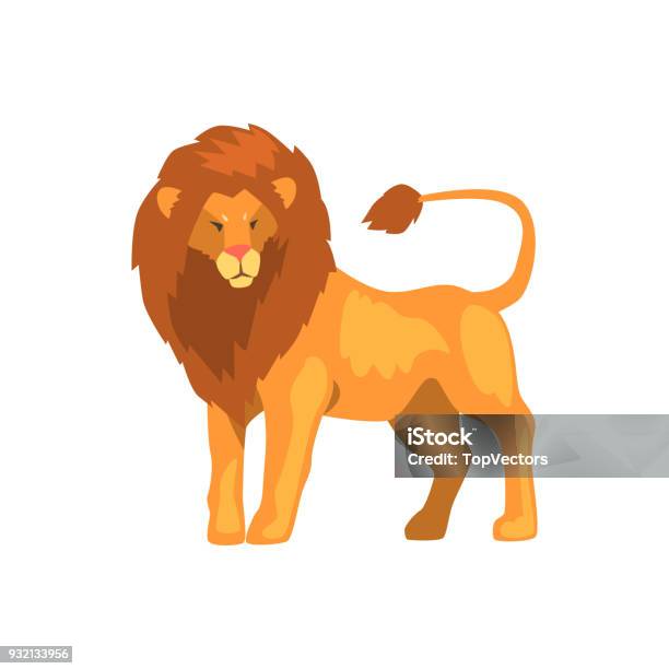 Formidable Lion Wild Predatory Animal Vector Illustration On A White Background Stock Illustration - Download Image Now