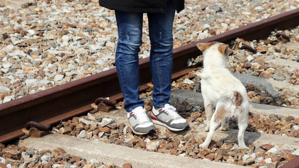 istock The concept of a relationship between a person and a dog. 932140990