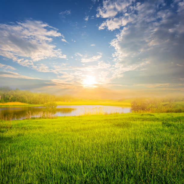 istock small lake coast at the sunset summer scene 932148720