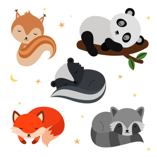 Adorable Flat Sleeping Animals Set Stock Illustration - Download Image Now  - Animal, Sleeping, Bear - iStock