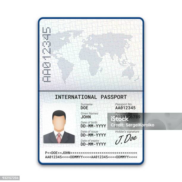 International Male Passport Template With Sample Of Photo Signature And Other Personal Data Vector Illustration Stock Illustration - Download Image Now