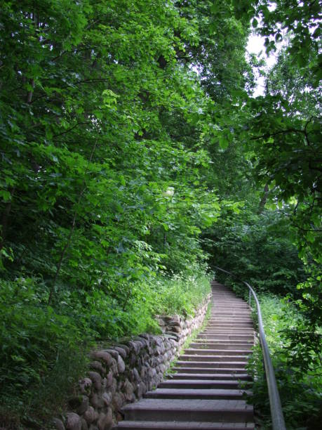 istock Stairs in the park among green trees 932158078