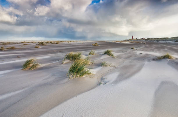 istock windy stormy day on North sea coast, Texel, Holland 932160612