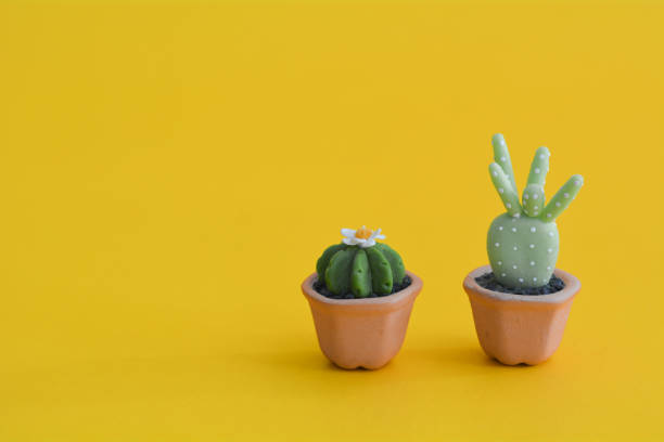 istock Cactus abstract minimal yellow background, Nature concept 932161266
