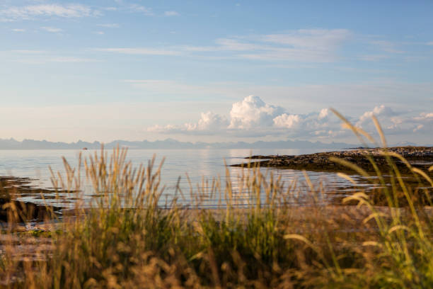 Tide is low. In the horizon is the wall of Lofoten Islands. Late night at the coast of Engeloya - Angel Island \