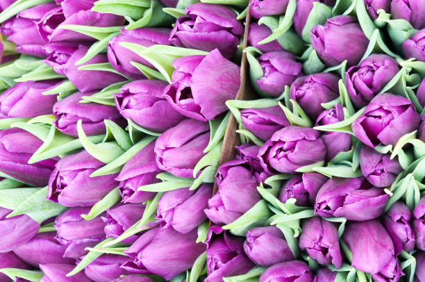 istock Bunch of flowers 932161768