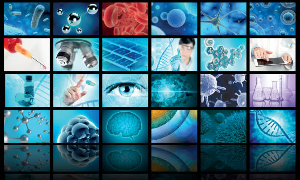 medical images collage background stock photo