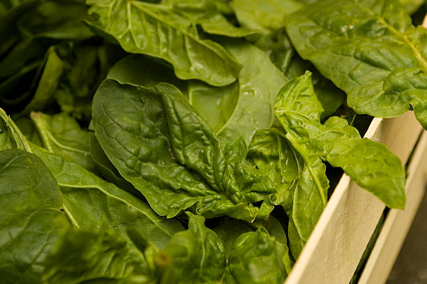 Fresh spinach in box (horizontal) stock photo