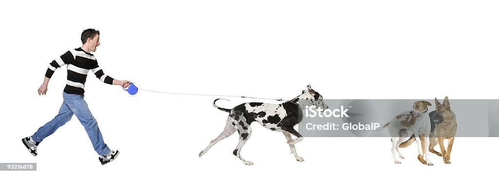 Человек ходить его собака (Немецкий дог 4 лет - Стоковые фото Собака роялти-фри