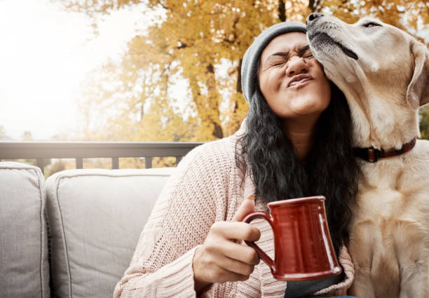 Snuggly love Shot of a young woman relaxing with her dog outside lady dog stock pictures, royalty-free photos & images