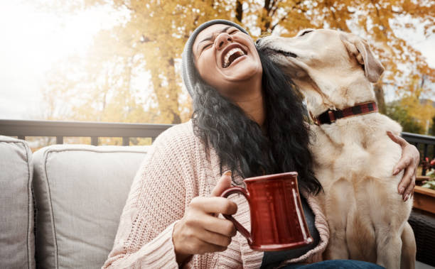 istock He's cute, cuddly and oh-so-friendly 932182096