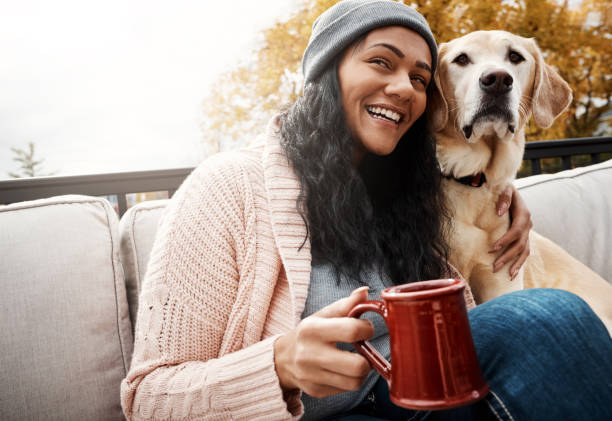 istock My favourite cuddly companion 932182126