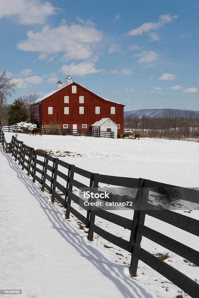 Czerwona Stodoła w zimie śnieg i słońce, Pensylwania, USA - Zbiór zdjęć royalty-free (Gospodarstwo)