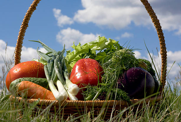 cesta con verduras - blotty fotografías e imágenes de stock