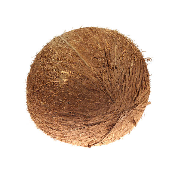 close-up of кокос - blotty стоковые фото и изображения