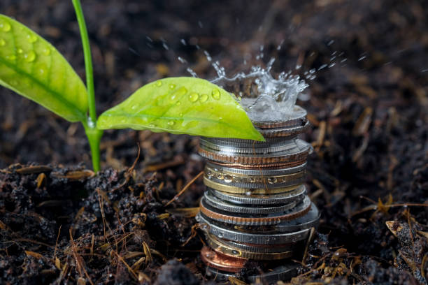 istock Close-Up Of Plant In Water 932192982
