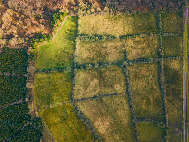istock Beautiful patchwork fields and bogland in Roscommon, Ireland. 932194760