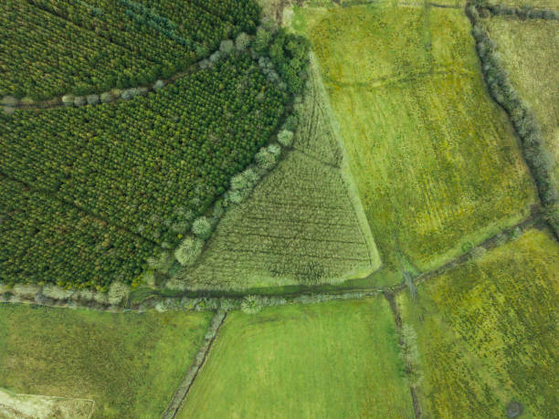 Aerial views of patchwork fields and bogland in Roscommon, Ireland.