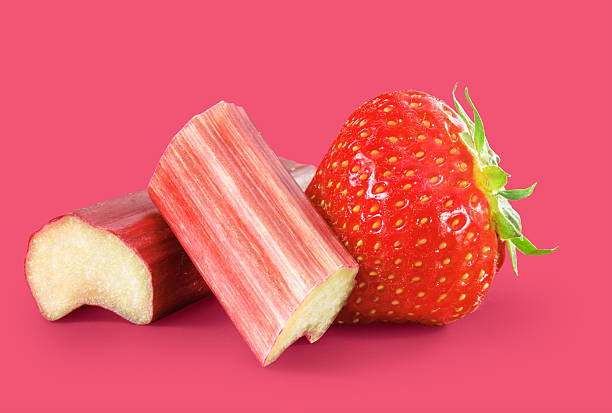 Strawberry rhubarb stock photo