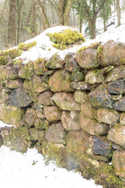 istock Old ruined watermill covered with snow winter 2018 932206190